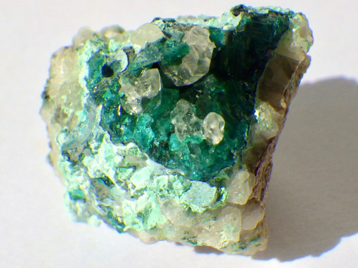 画像2: アリゾナ産ダイオプテーズＦ (2)