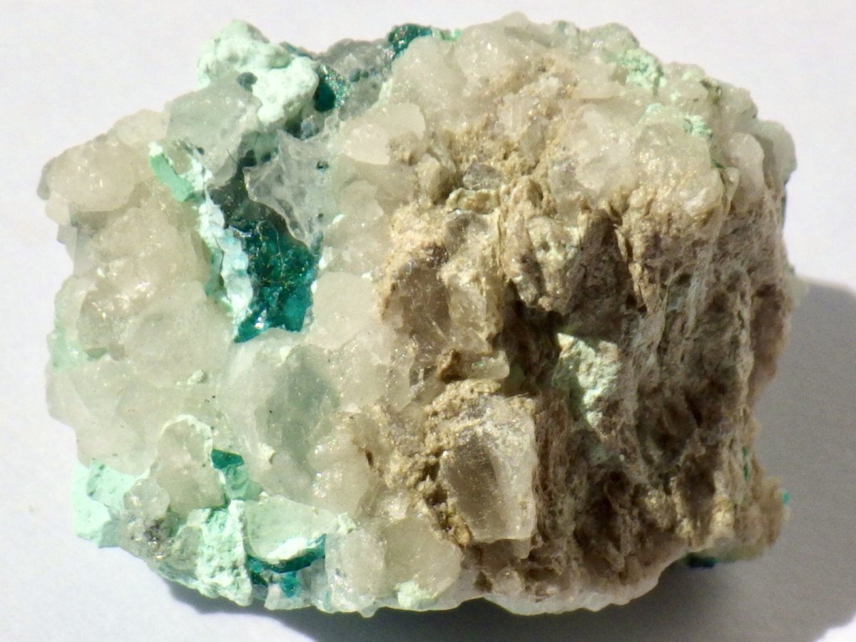 画像4: アリゾナ産ダイオプテーズＦ (4)