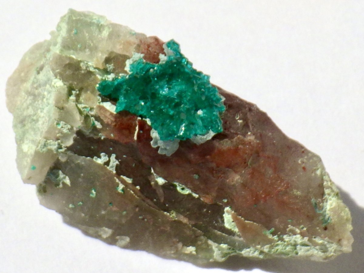 画像2: アリゾナ産ダイオプテーズE (2)