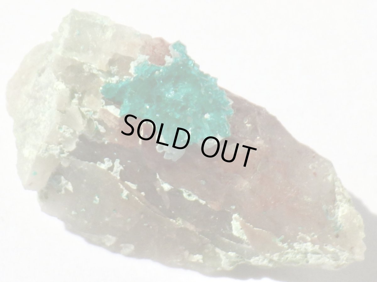 画像2: アリゾナ産ダイオプテーズＥ (2)