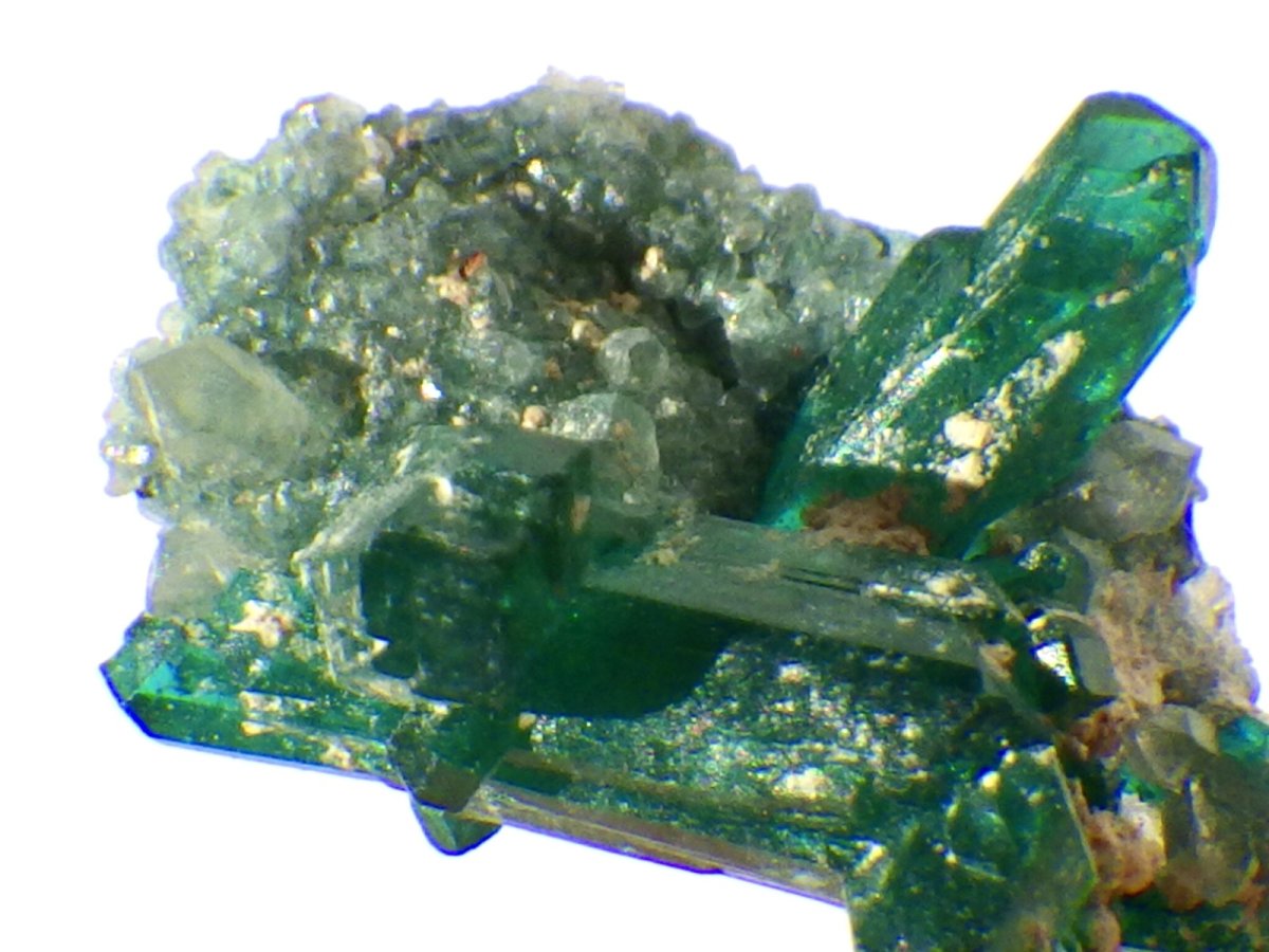 画像4: アリゾナ産ダイオプテーズＣ (4)