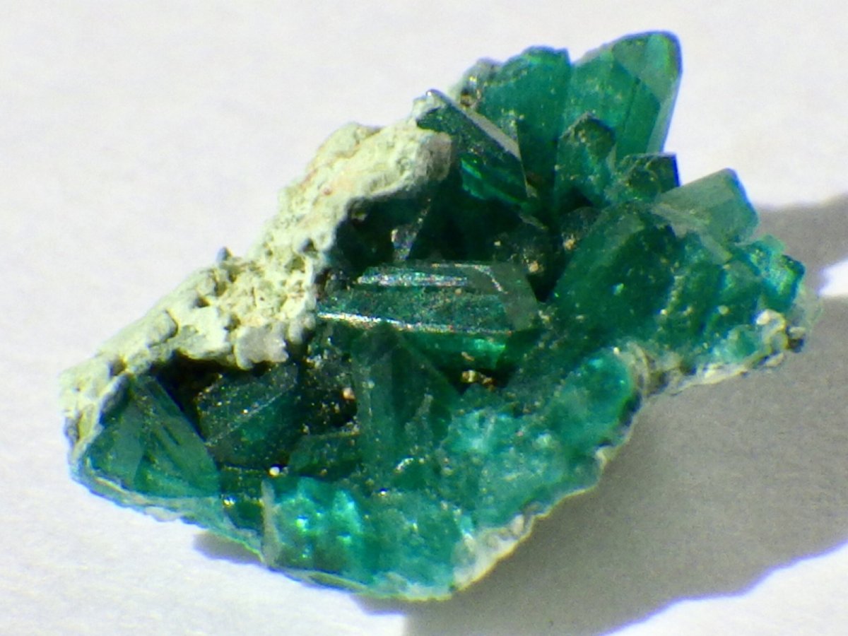 画像3: アリゾナ産ダイオプテーズＢ (3)