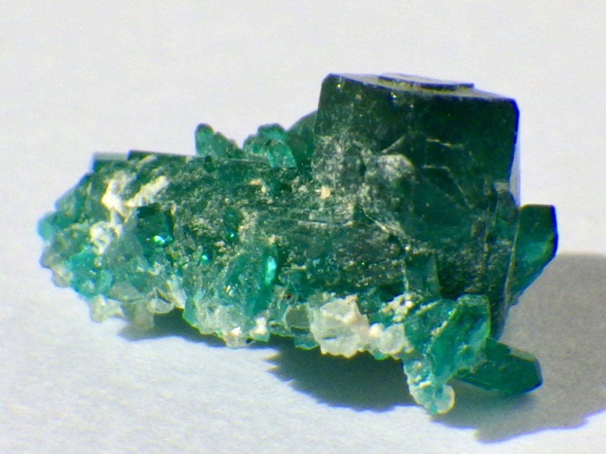 画像3: アリゾナ産ダイオプテーズＡ (3)