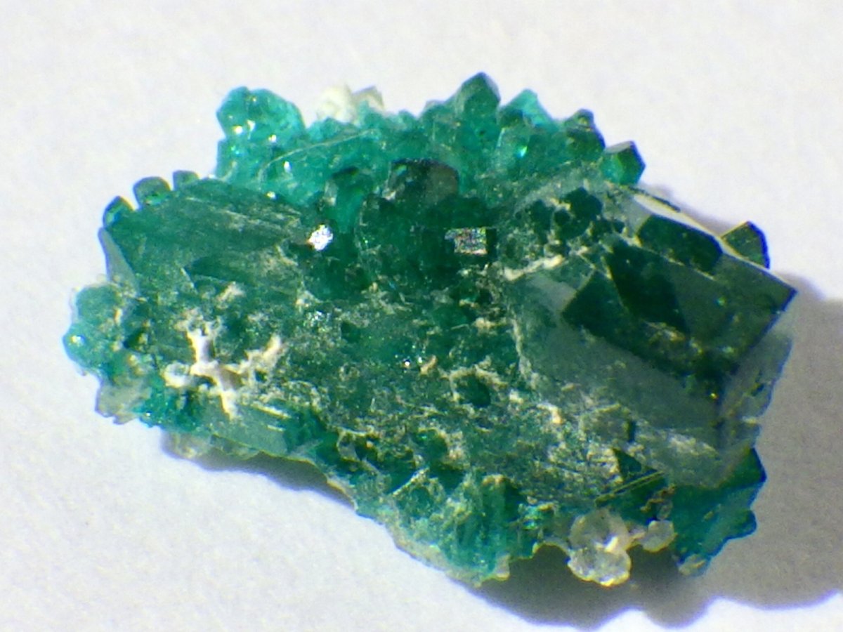 画像2: アリゾナ産ダイオプテーズＡ (2)