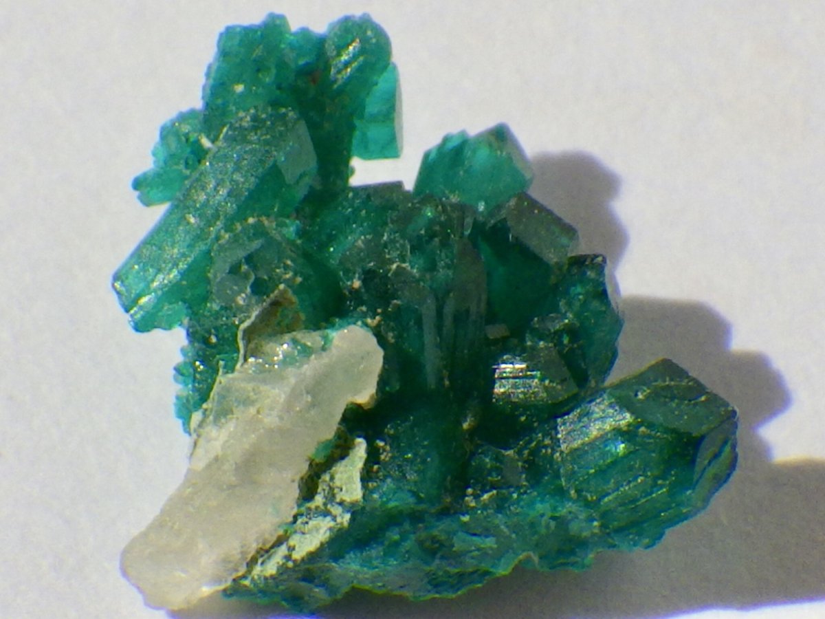 画像2: アリゾナ産ダイオプテーズＤ (2)