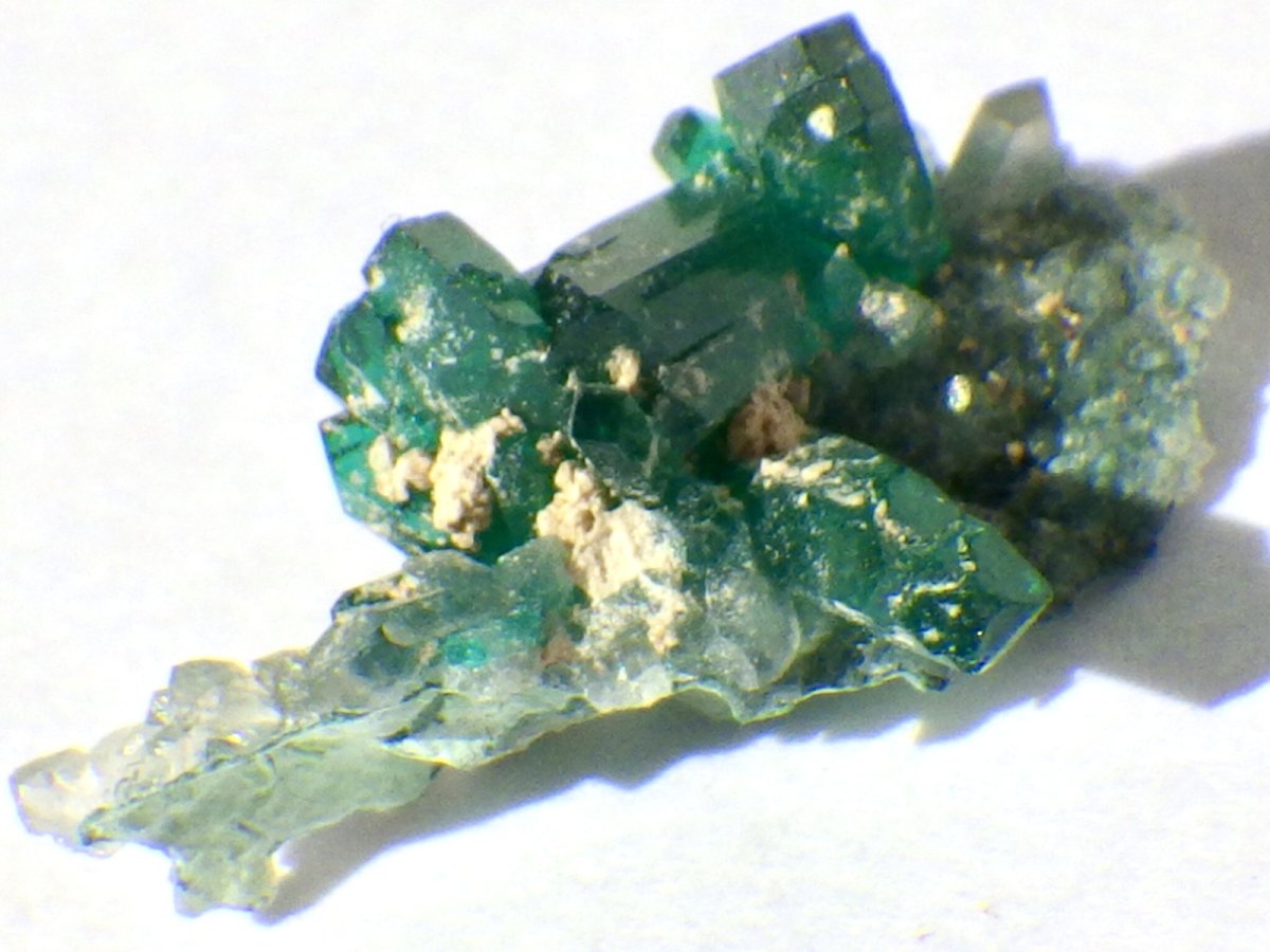 画像3: アリゾナ産ダイオプテーズＣ (3)