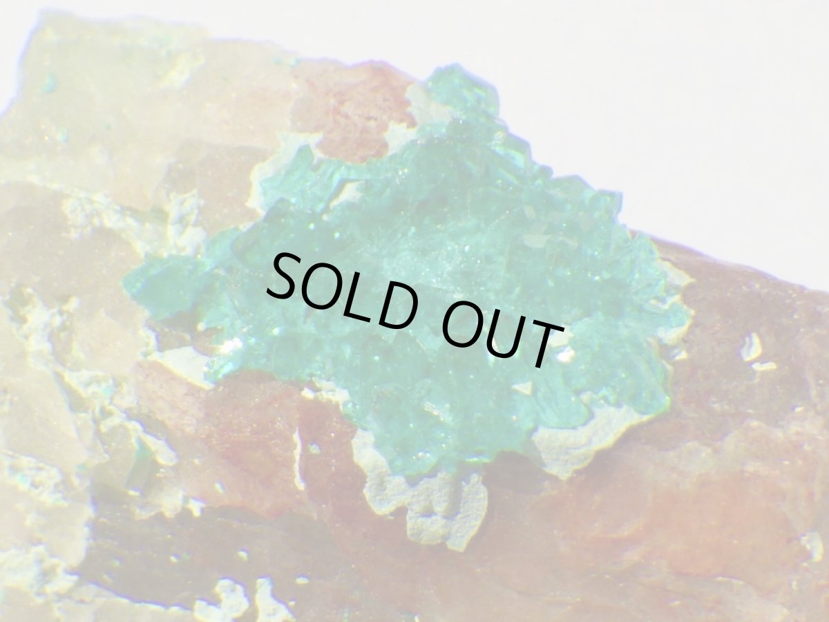 画像1: アリゾナ産ダイオプテーズＥ (1)