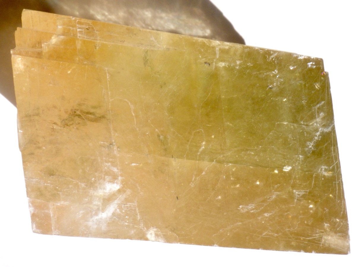 画像2: バイカラービッグオプティカルカルサイトＡ (2)