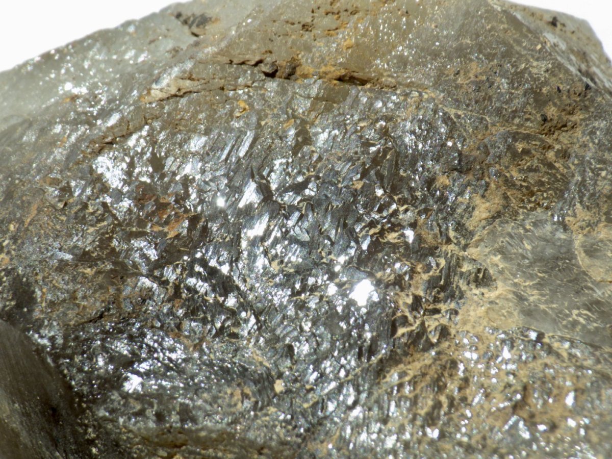 画像5: 鳥取県産煙水晶大 (5)