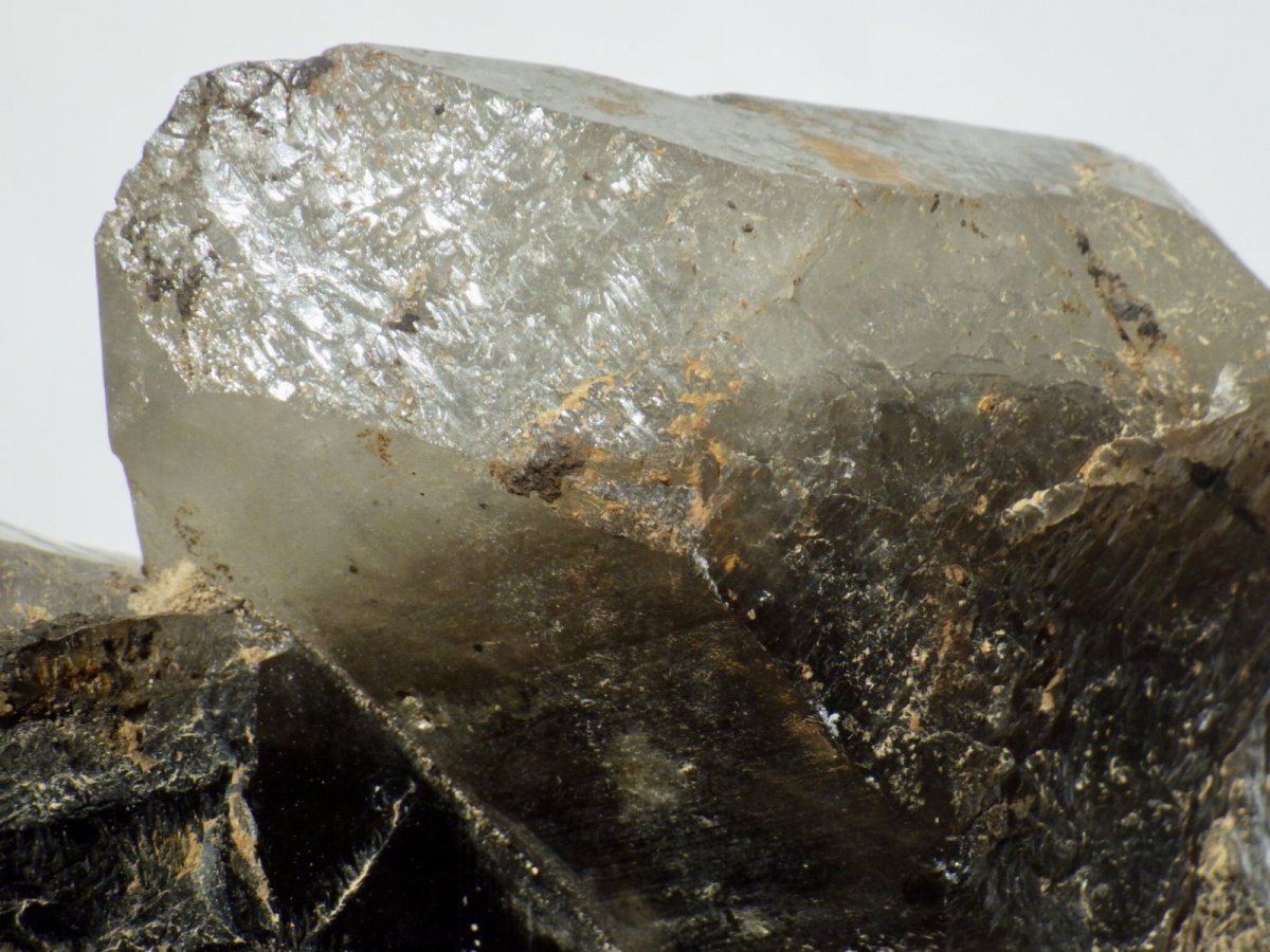 画像7: 鳥取県産煙水晶大 (7)