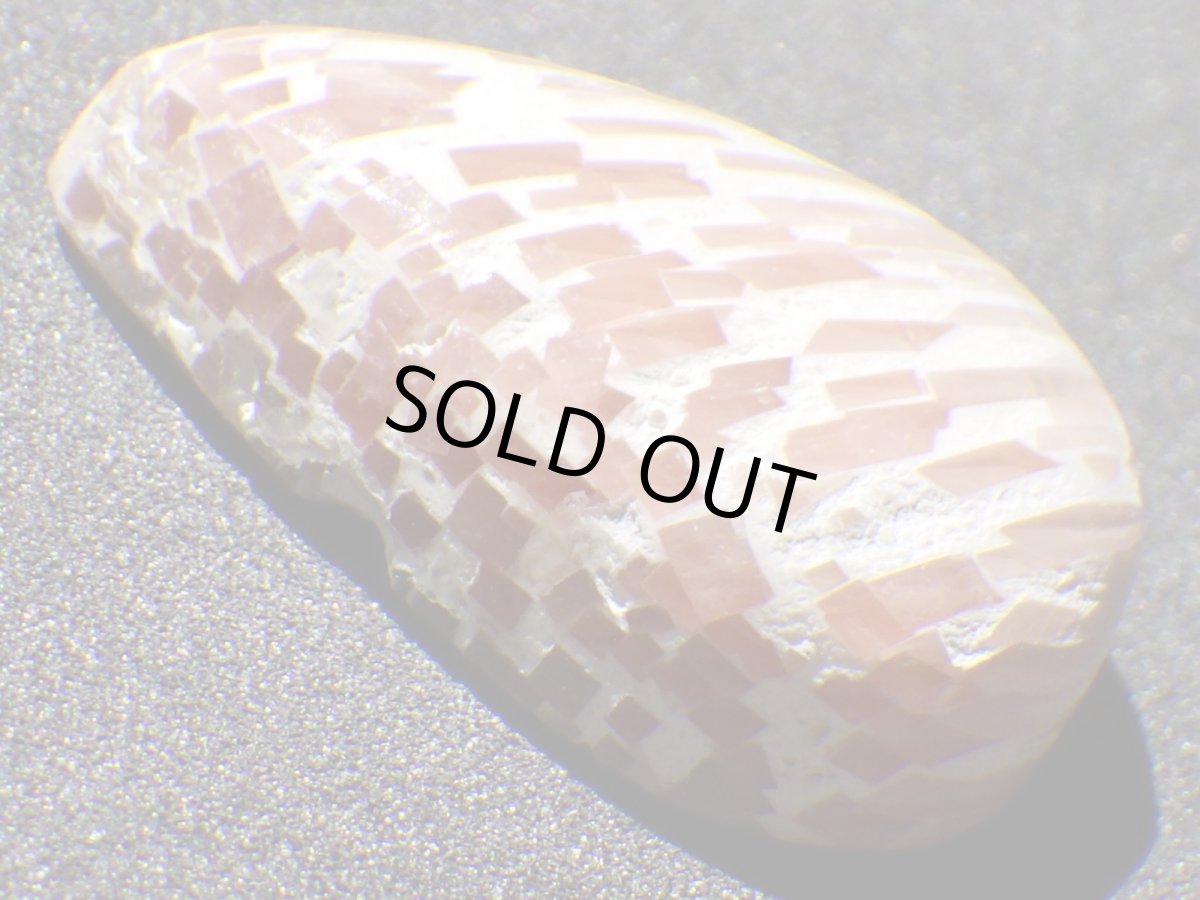 画像2: ピンクスコレサイトカボＣ　12.8ct (2)