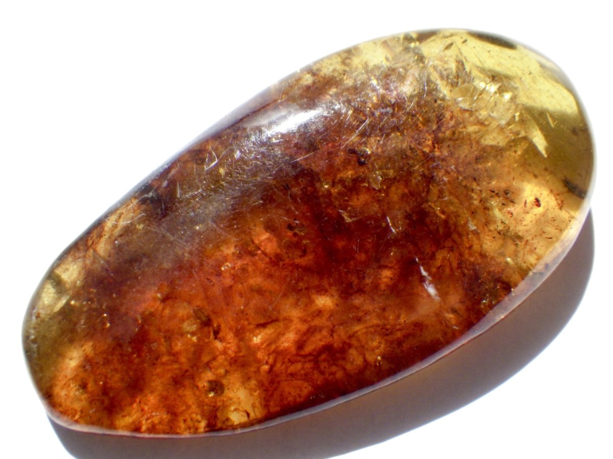 画像2: メキシコ産ブルーアンバーＣ (2)