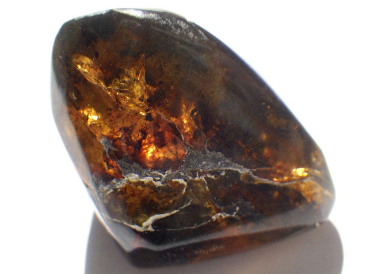 画像4: メキシコ産ブルーアンバーＤ (4)