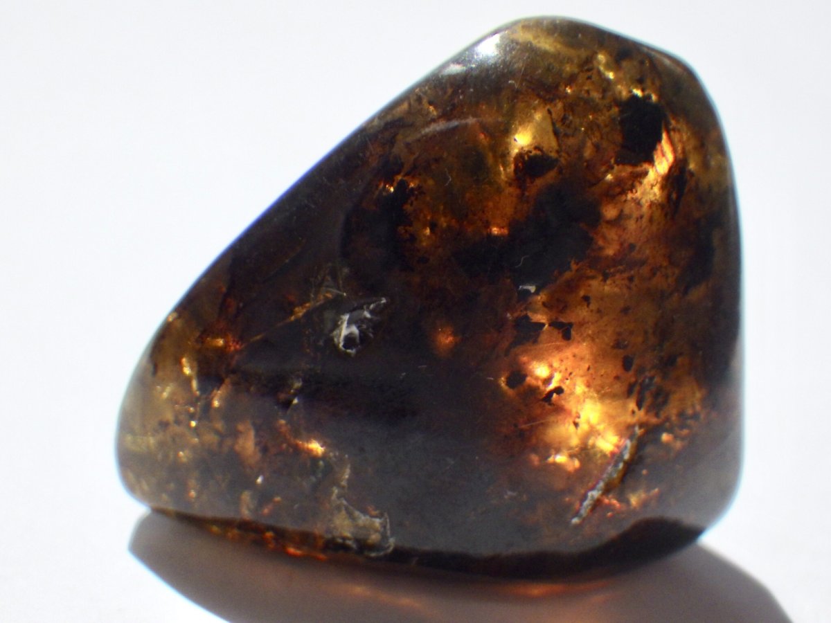 画像2: メキシコ産ブルーアンバーＤ (2)