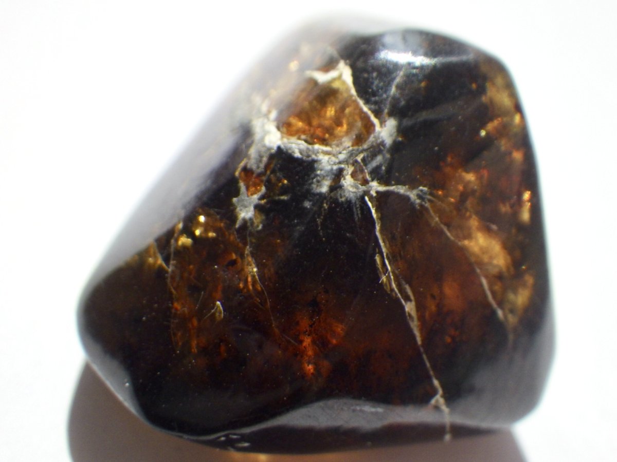 画像5: メキシコ産ブルーアンバーＤ (5)