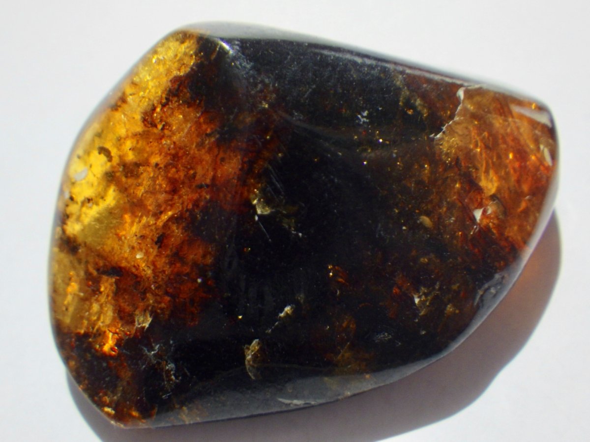 画像3: メキシコ産ブルーアンバーＢ (3)