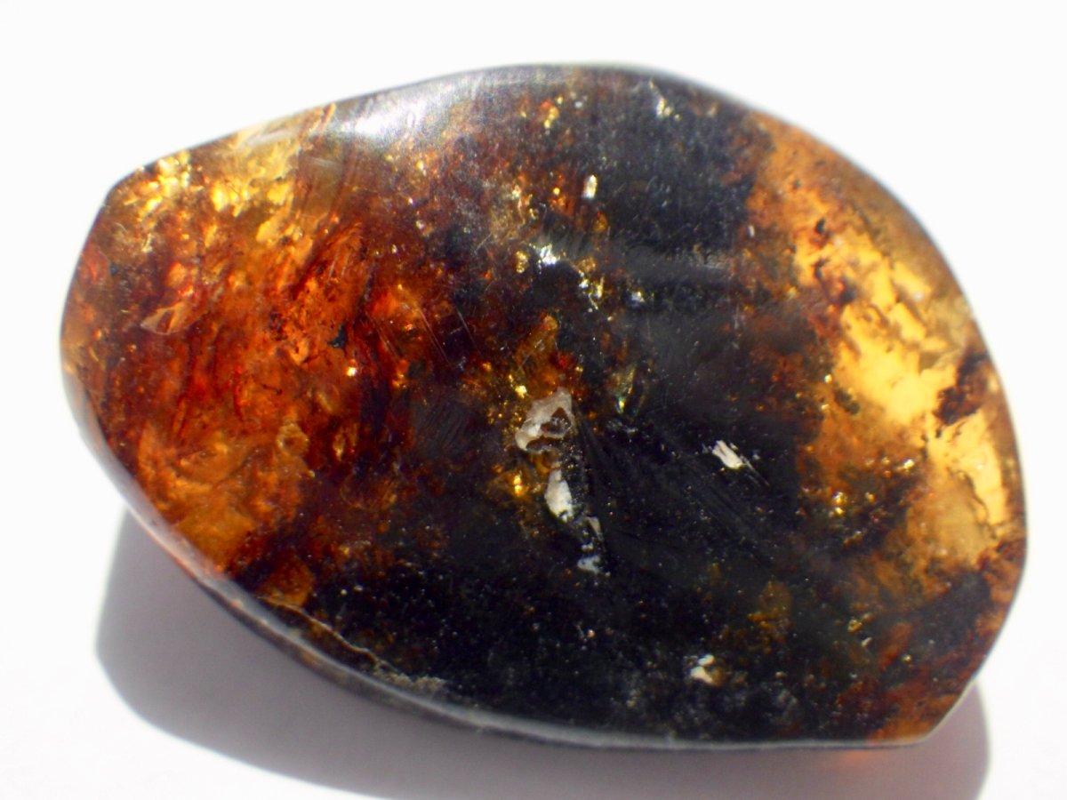 画像2: メキシコ産ブルーアンバーＢ (2)