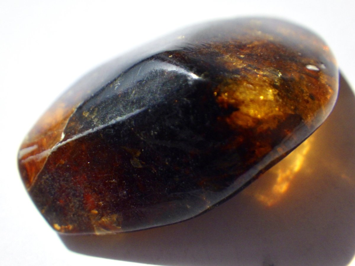 画像4: メキシコ産ブルーアンバーＢ (4)