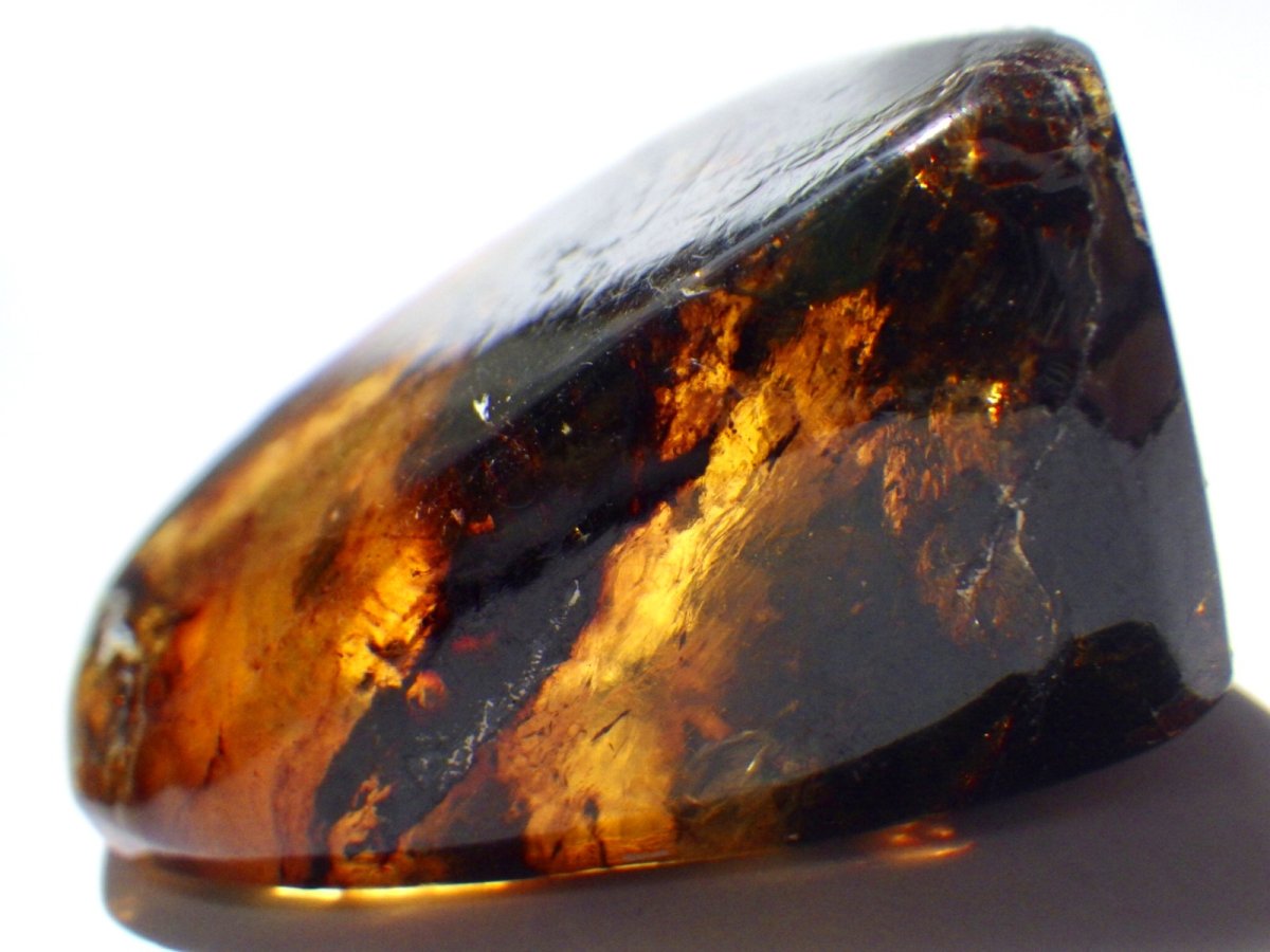 画像2: メキシコ産ブルーアンバーＥ (2)