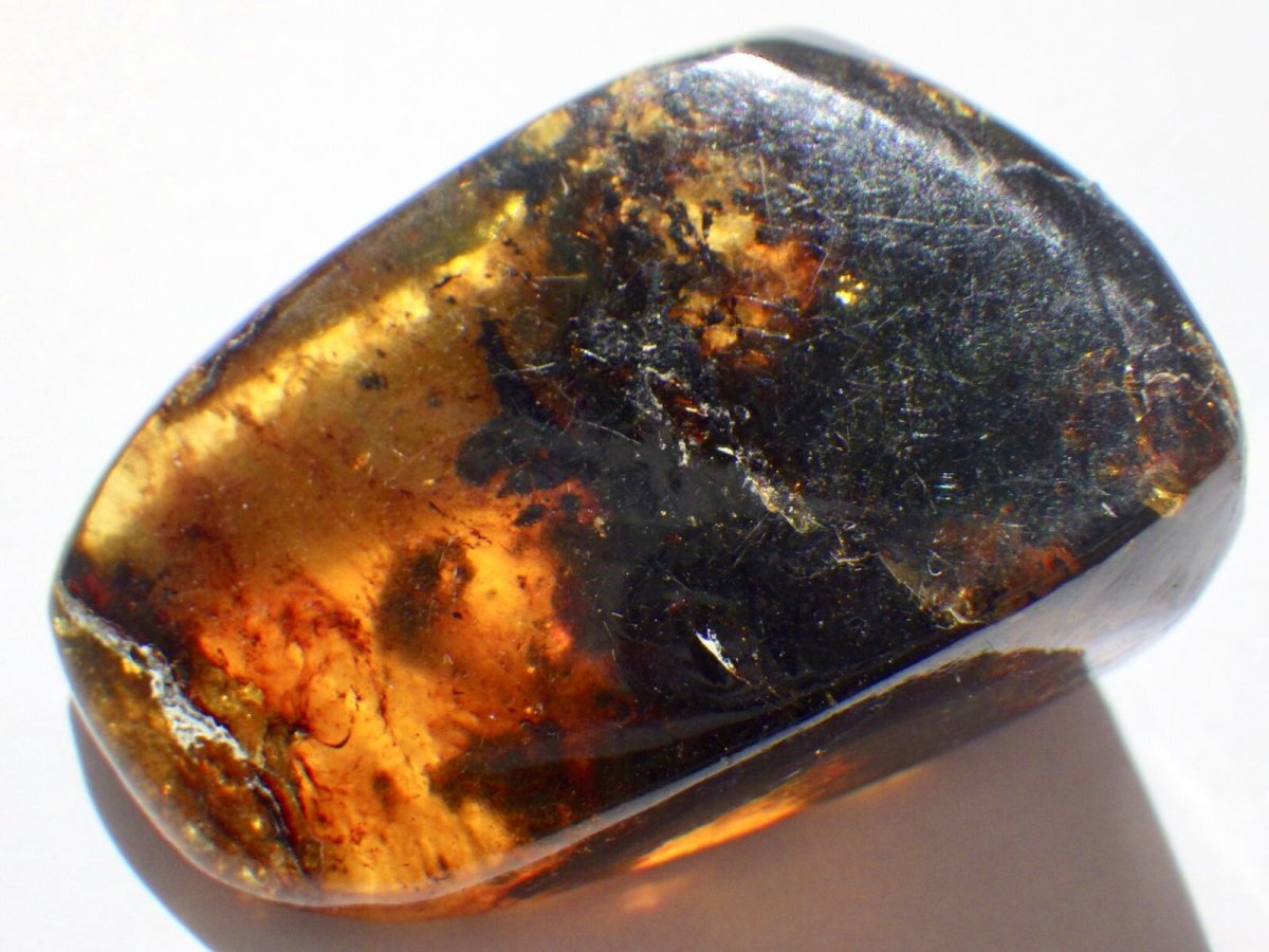 画像5: メキシコ産ブルーアンバーＥ (5)