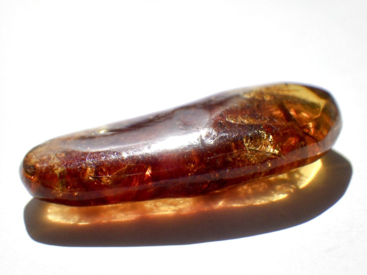 画像3: メキシコ産ブルーアンバーＣ (3)