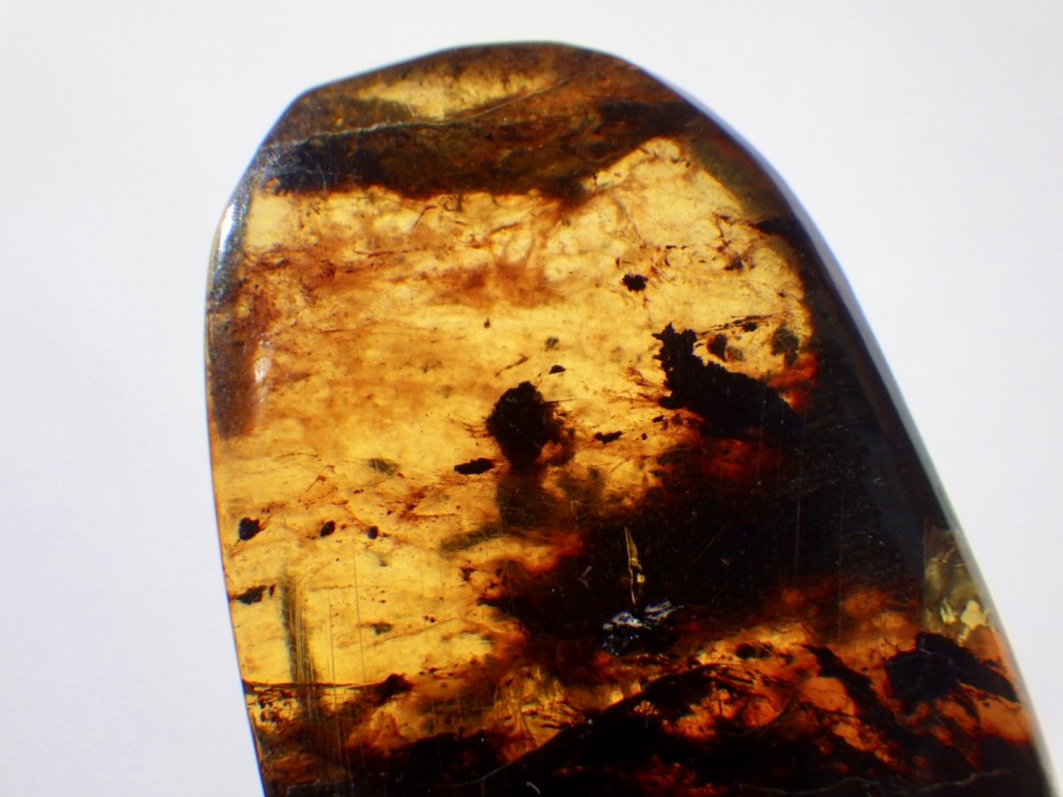 画像3: メキシコ産ブルーアンバーＥ (3)