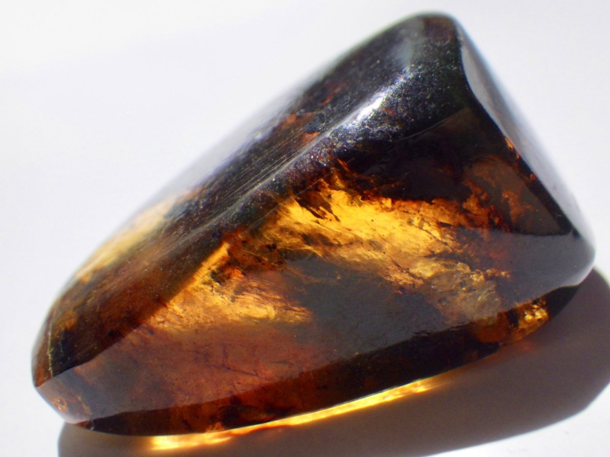 画像4: メキシコ産ブルーアンバーＥ (4)