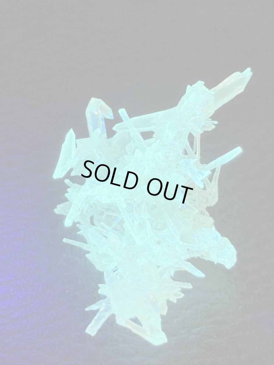 画像3: ジンカイトＧ (3)