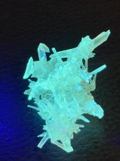 画像3: ジンカイトＧ (3)