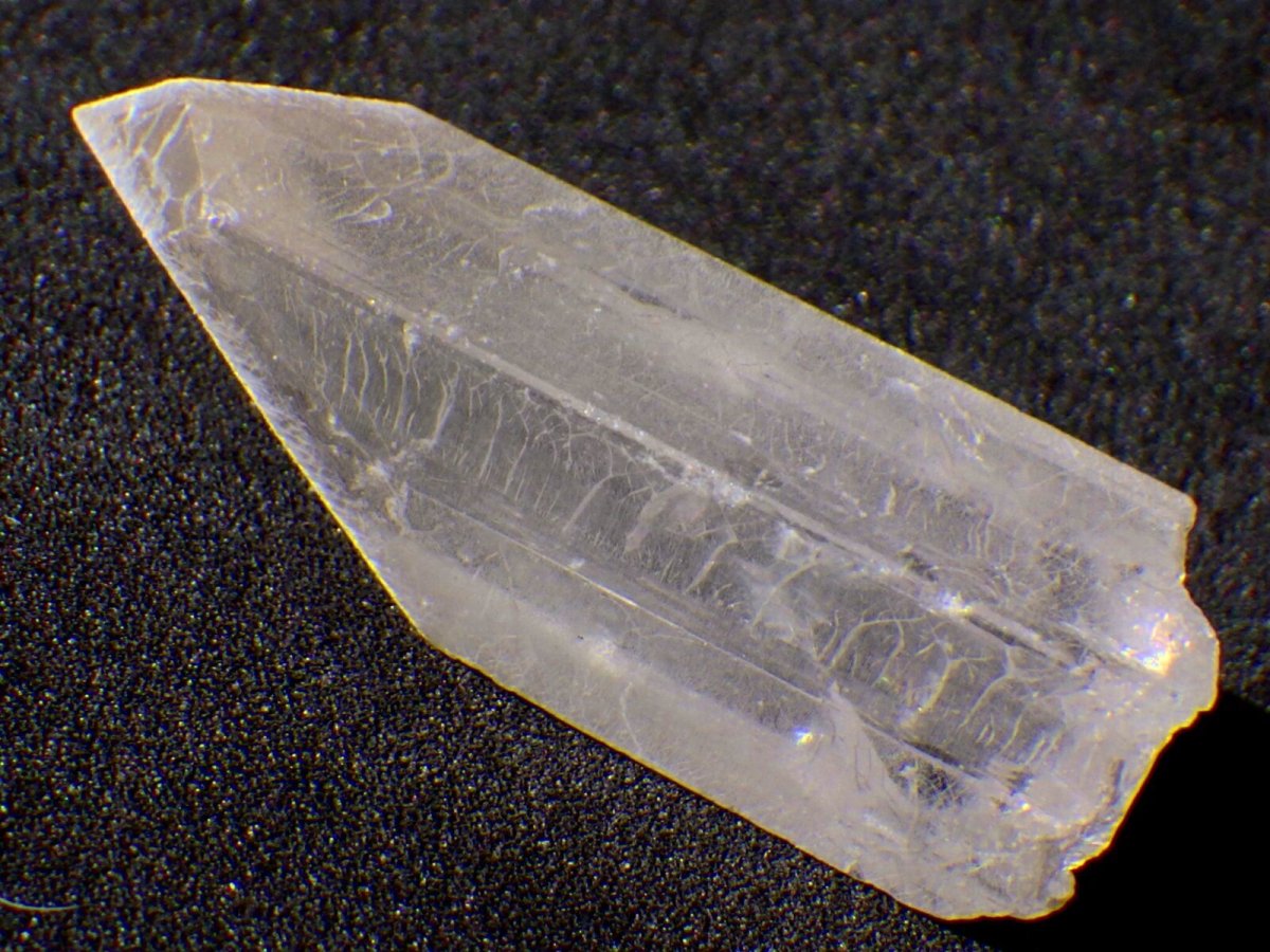 画像3: ダンビュライトＥ (3)