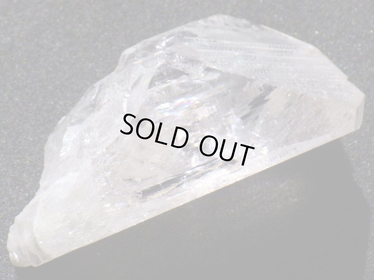 画像5: ダンビュライトＫ (5)