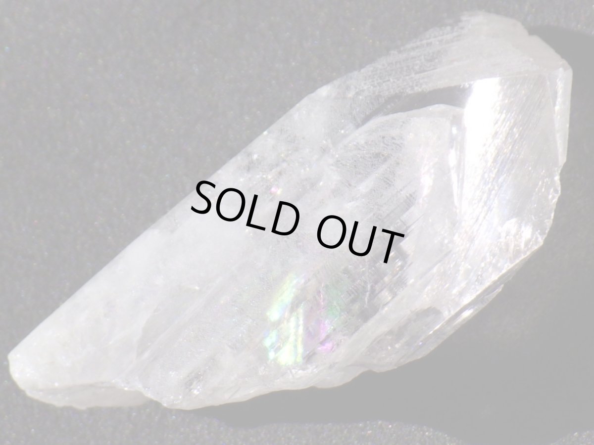 画像3: ダンビュライトＫ (3)