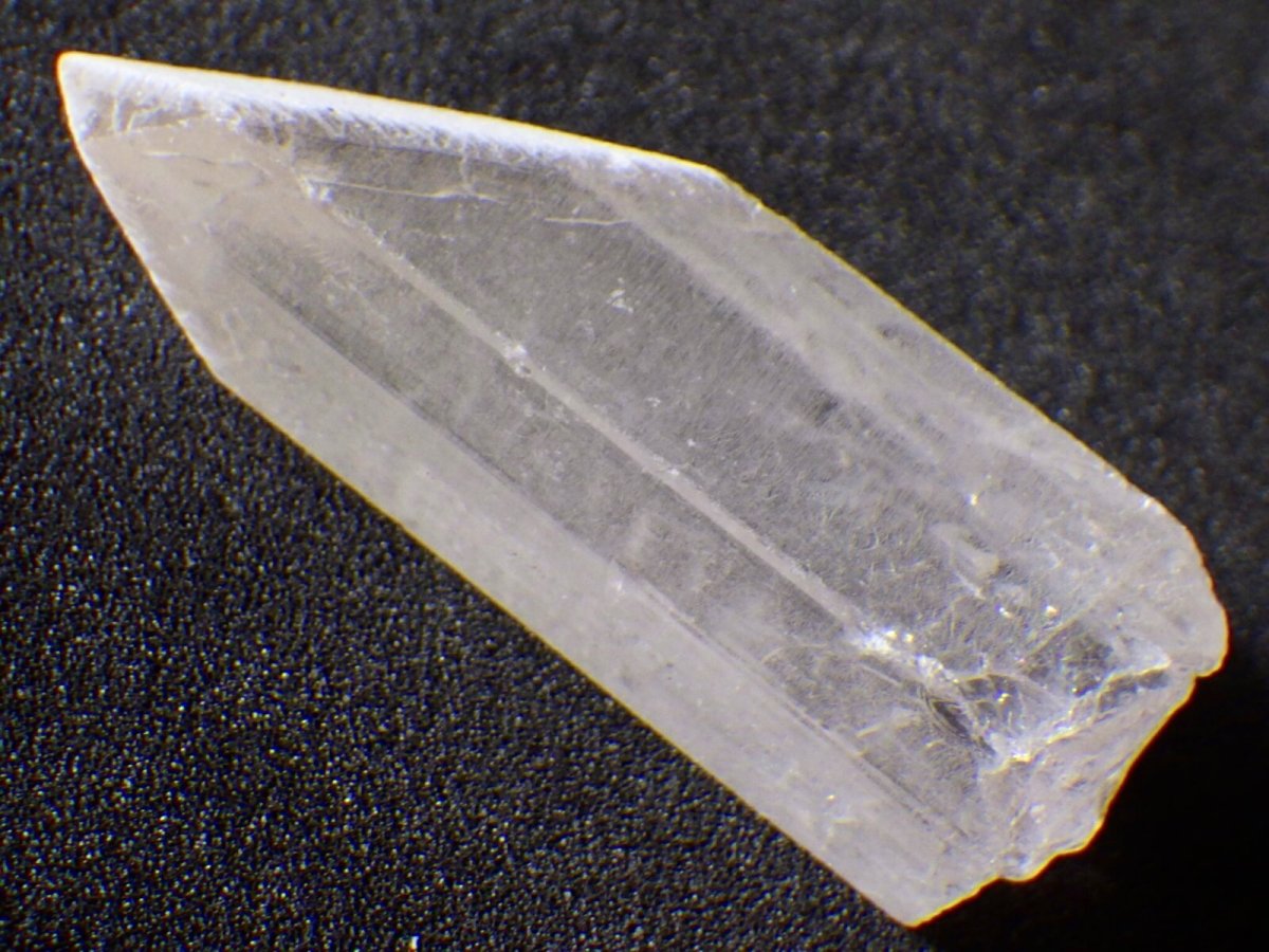 画像5: ダンビュライトＥ (5)