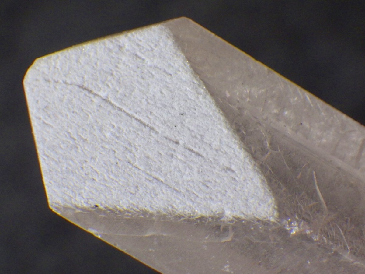 画像2: ダンビュライトＥ (2)