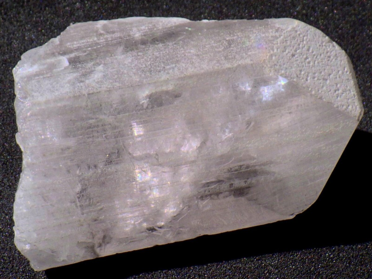 画像3: ダンビュライトＪ (3)