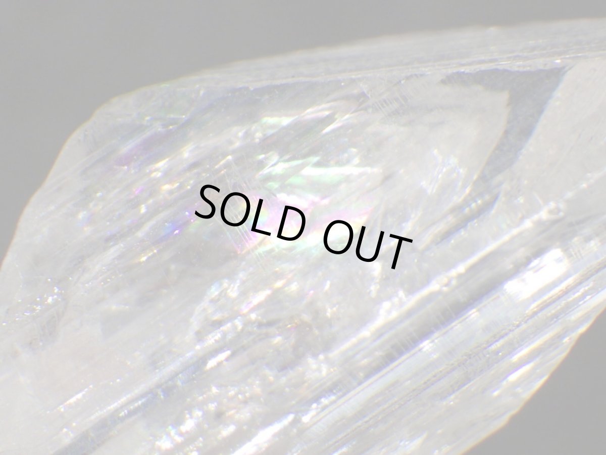 画像1: ダンビュライトＫ (1)