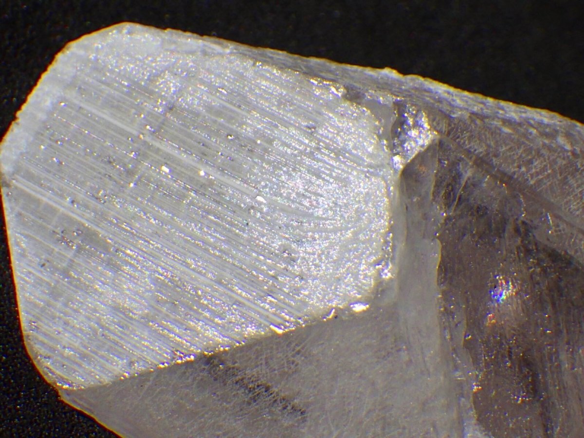 画像4: ダンビュライトＪ (4)