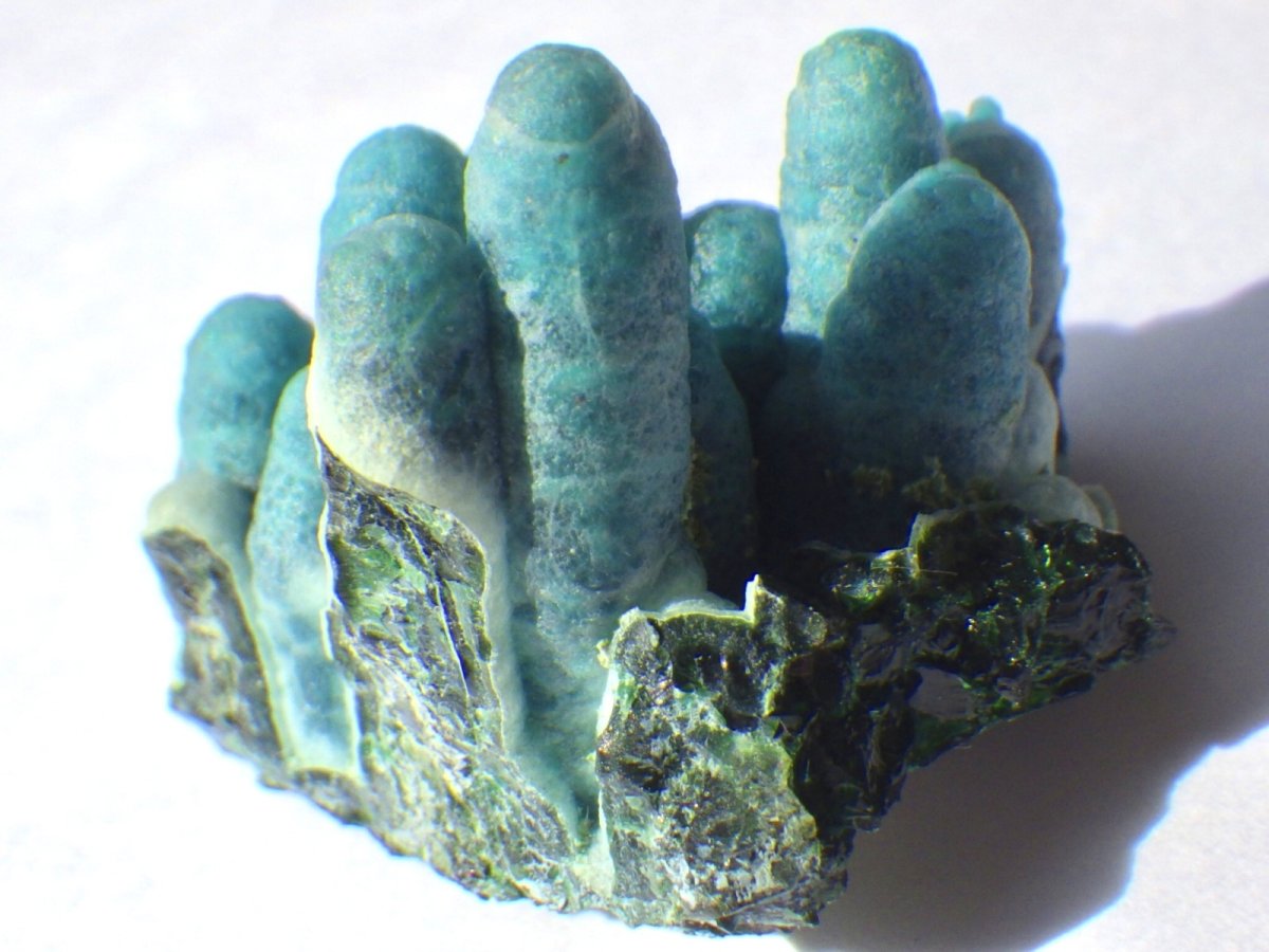 画像3: レイマインクリソコラA (3)