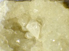 画像3: ニュージャージー産プレナイトA (3)