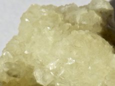 画像2: ニュージャージー産プレナイトA (2)