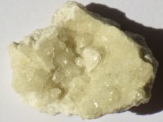 画像1: ニュージャージー産プレナイトA (1)