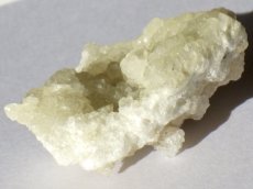 画像5: ニュージャージー産プレナイトA (5)