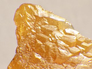 ウルフェナイト(モリブデン鉛鉱) - セルフクリエイション