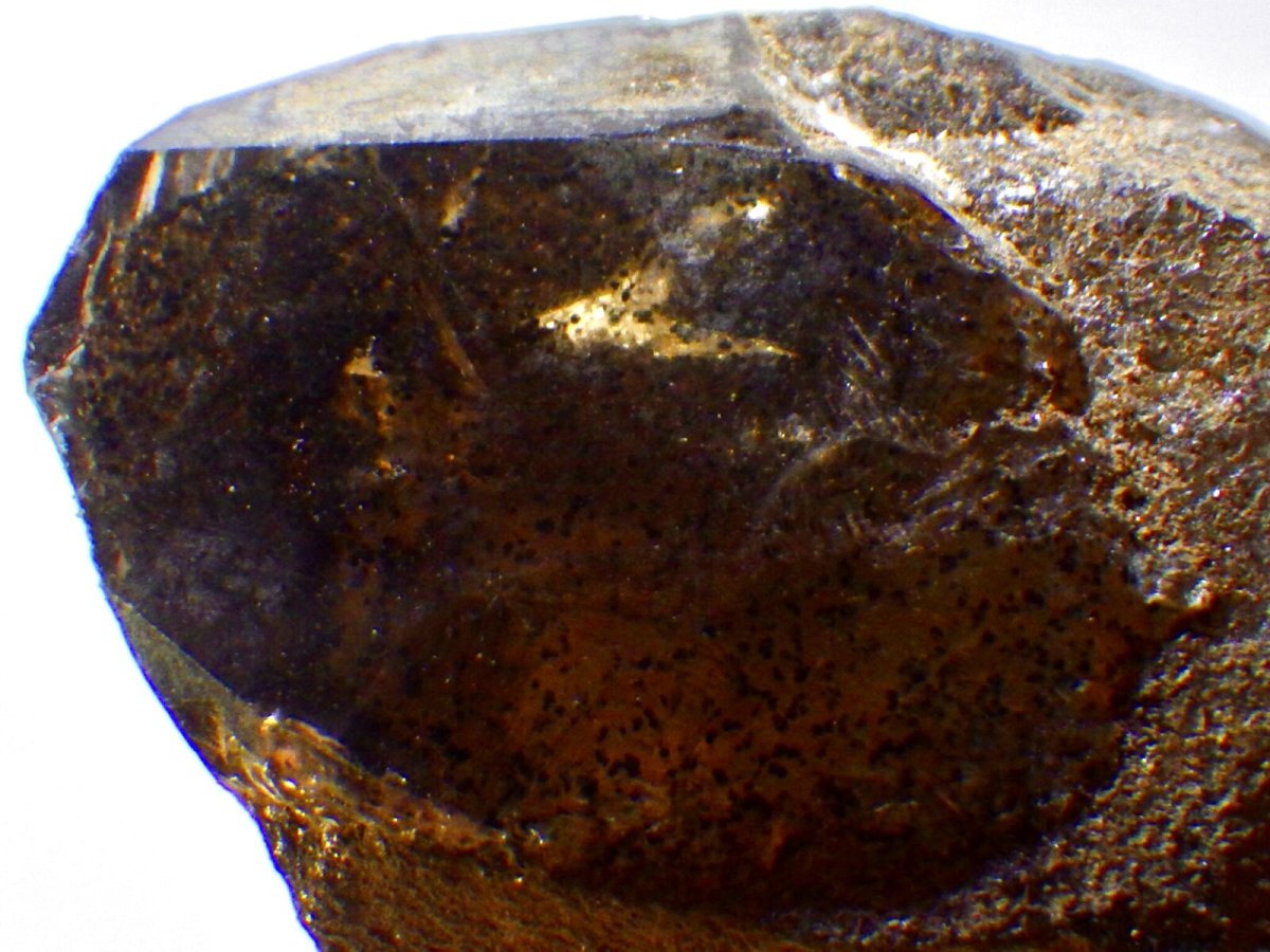 画像5: 鳥取県産煙水晶Ｈ (5)