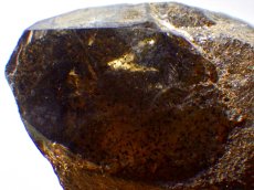 画像5: 鳥取県産煙水晶Ｈ (5)