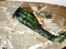 画像1: ブラジル産トルマリン入り水晶Ｃ (1)