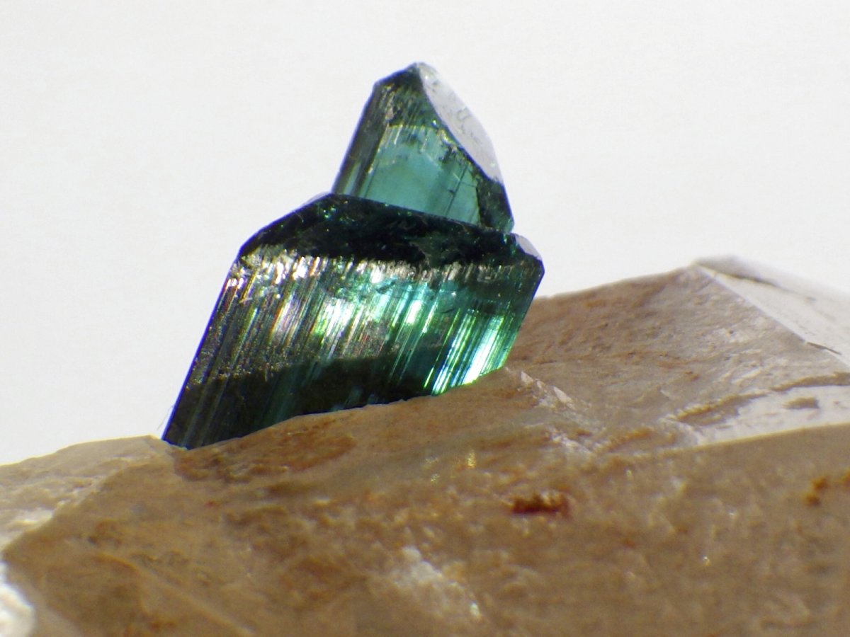 画像7: ブラジル産トルマリン入り水晶Ｃ (7)