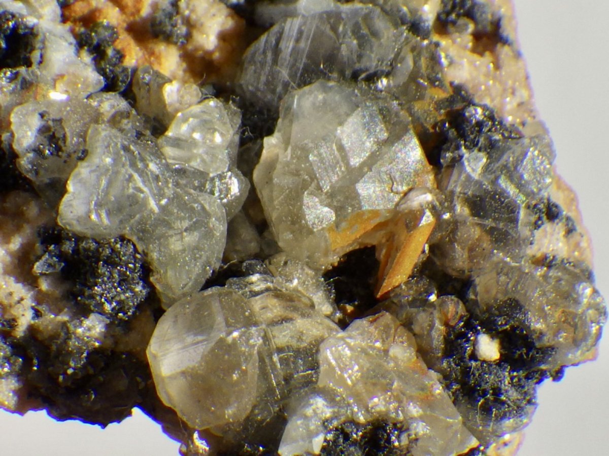 画像1: モロッコ産セルサイトＢ (1)