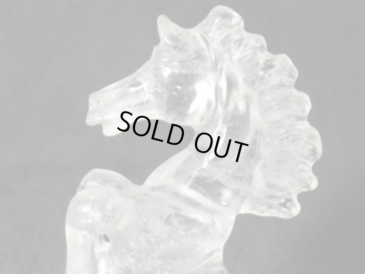 画像6: 水晶馬Ａ (6)