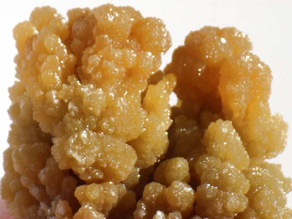 画像4: メキシコ産ミメタイトＦ (4)